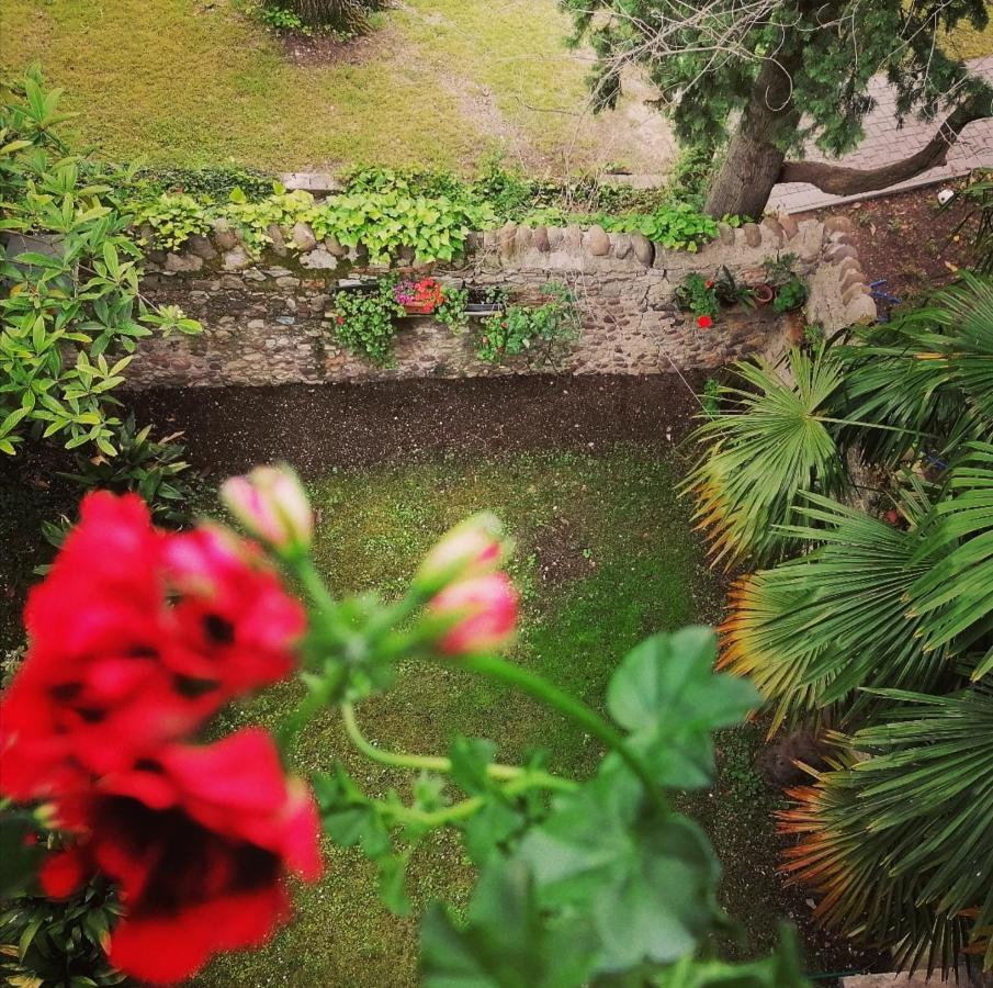 La Casa Di Marzia Daire Bardolino Dış mekan fotoğraf
