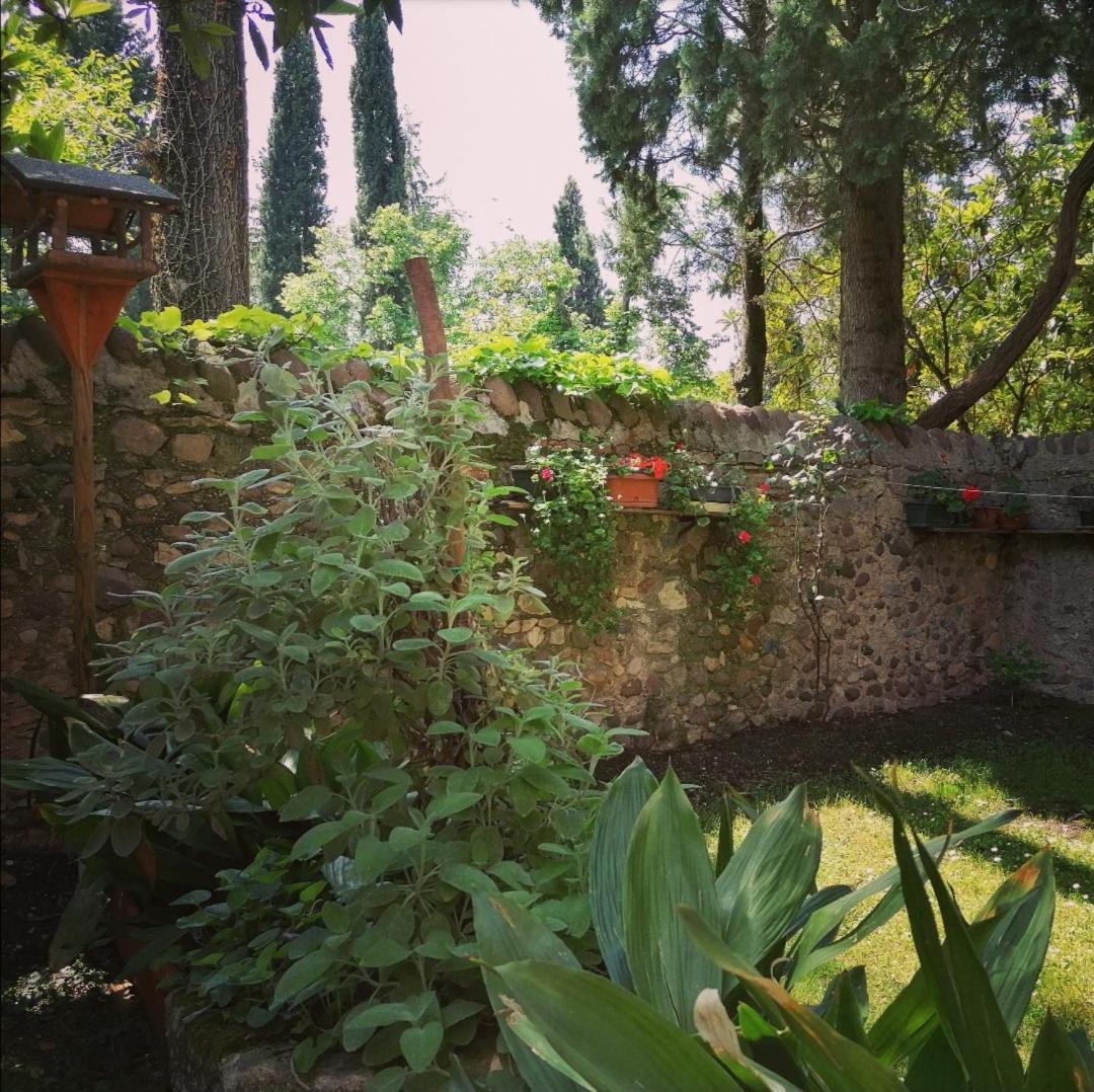La Casa Di Marzia Daire Bardolino Dış mekan fotoğraf