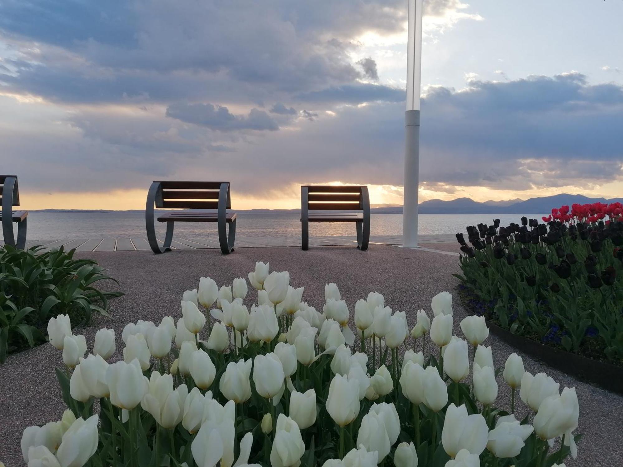 La Casa Di Marzia Daire Bardolino Dış mekan fotoğraf